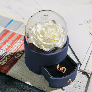 Rose Round Jewelry Box and Necklace Gift