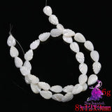 Fashion Shell Bead Necklace