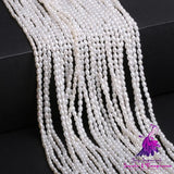 Freshwater Pearl Beads Accessories