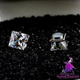 Popular Square Black And White Zircon Magnet Ear Studs