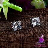 Popular Square Black And White Zircon Magnet Ear Studs