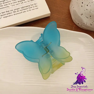 Frosted Gradient Butterfly Hair Clip