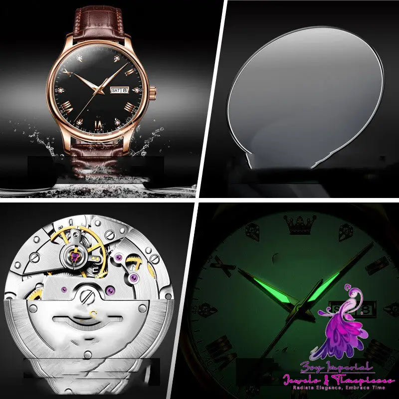 Casual Diamond Mechanical Watch