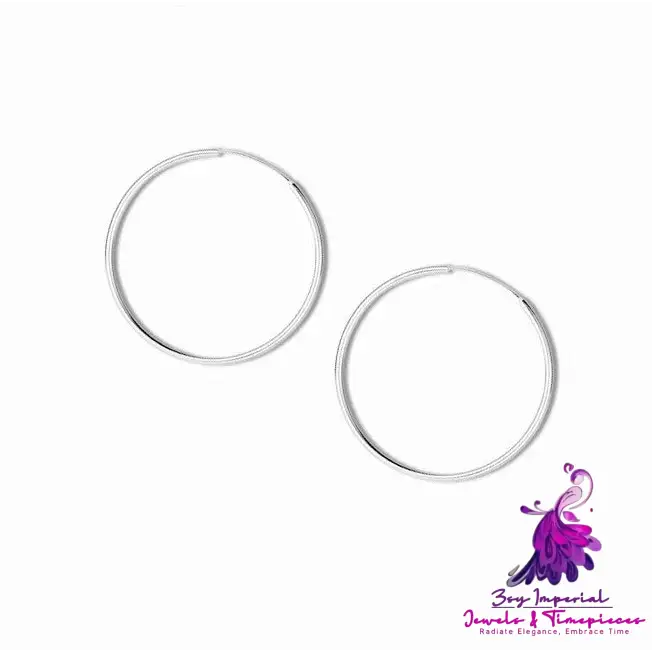 Sterling Silver Big Circle Earrings Women