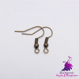 Earring Hook Jewelry Ornament