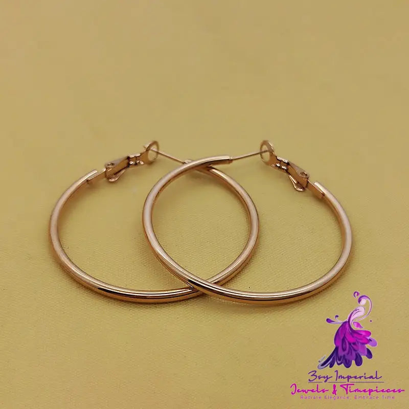 Chic Steel Earrings