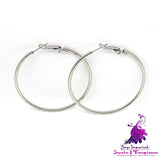 Chic Steel Earrings