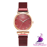 Fashion Mesh Ladies’ Watch