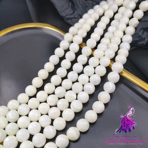 Horseshoe Snail Shell Bead Necklace Bracelet Loose Bead DIY