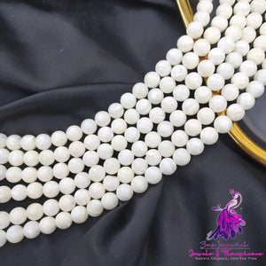 Horseshoe Snail Shell Bead Necklace Bracelet Loose Bead DIY