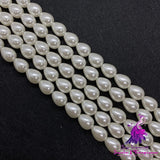 Three Specifications Of Natural Shell Loose Beads