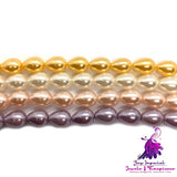 Three Specifications Of Natural Shell Loose Beads