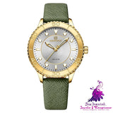 Fashion Small Dial Women’s Quartz Watch