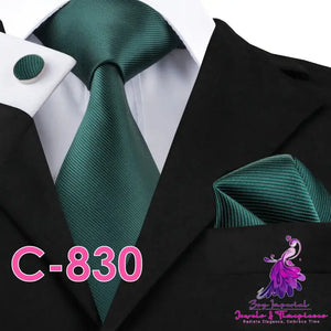 Solid Silk Neck Tie Set